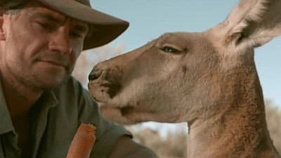 Still from Kangaroo Dundee (2)