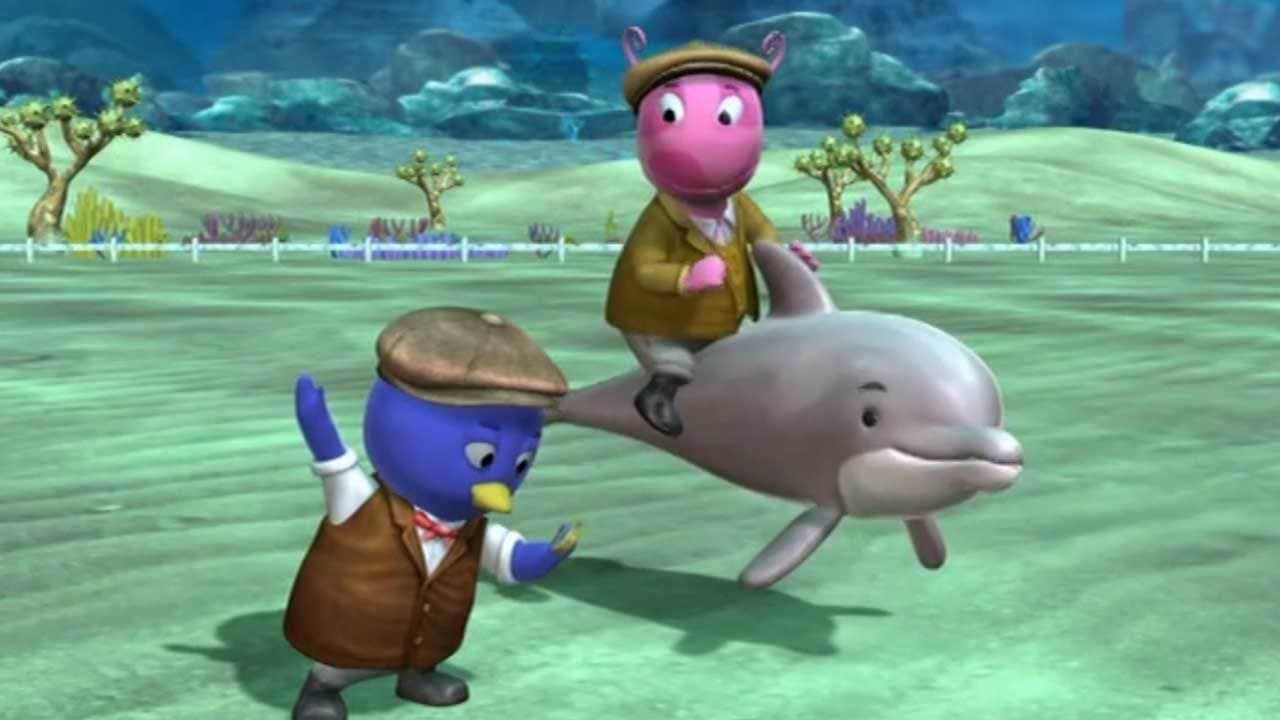 Still from The Great Dolphin Race
