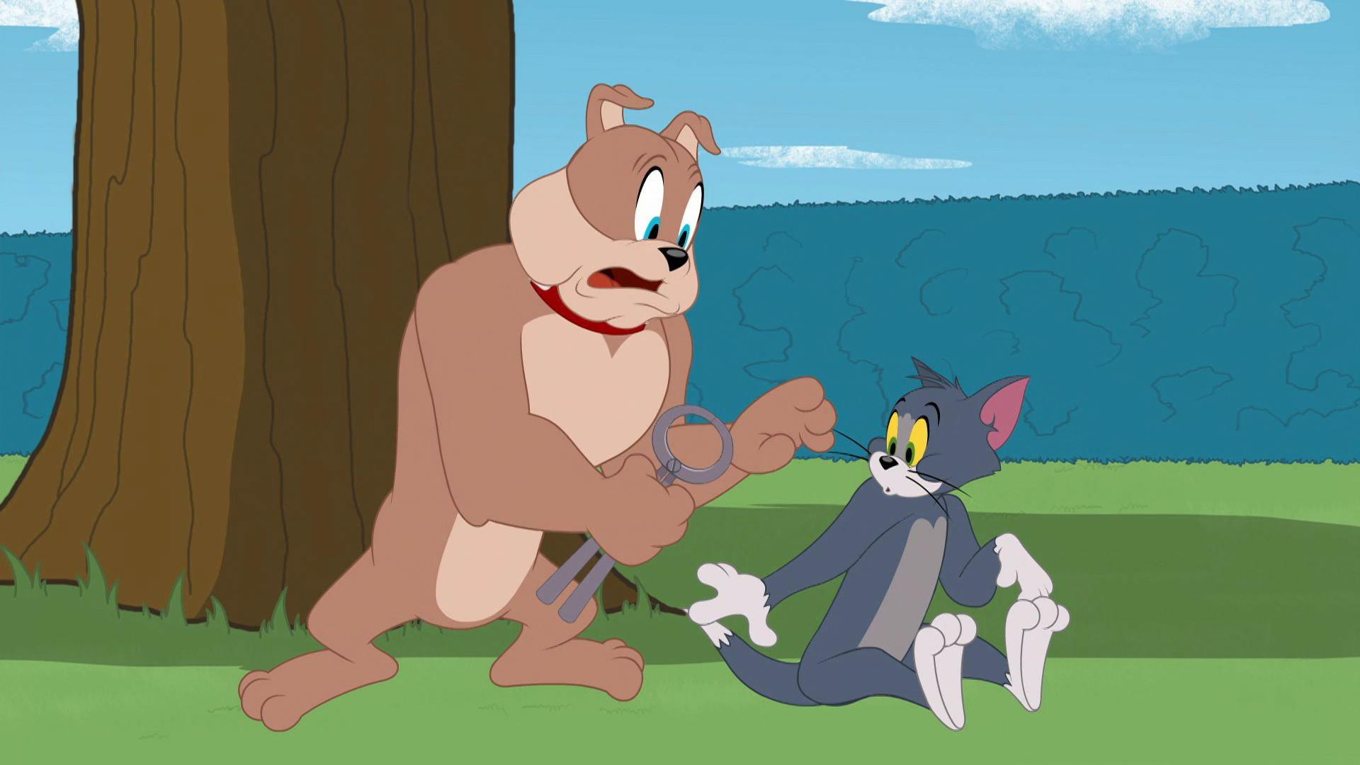 Still from Dental Case