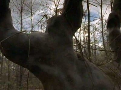 Still from The Tale of the Forever Game