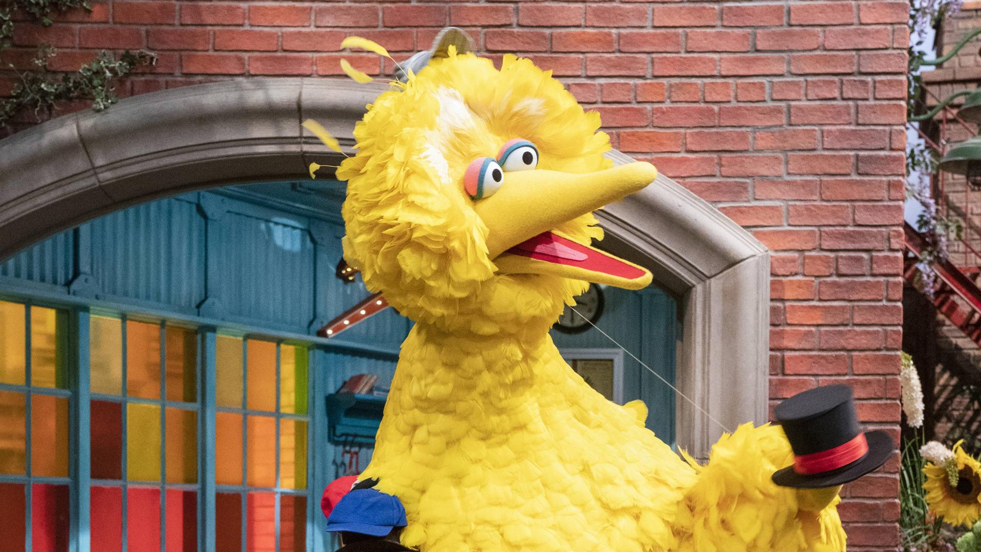 Still from Measuring Big Bird