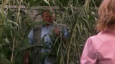 Still from Corn Star