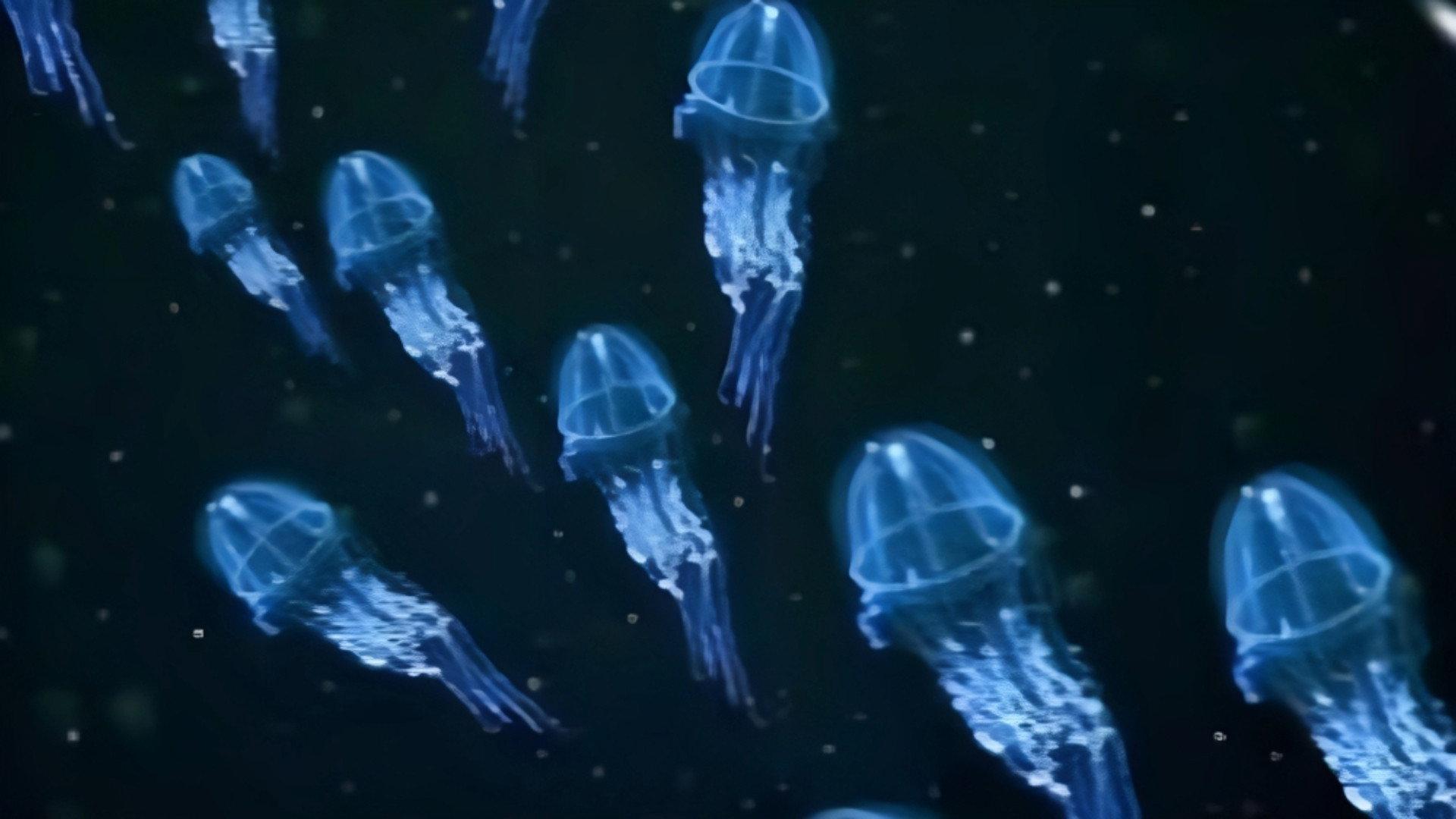 Still from Dive to the Abyss