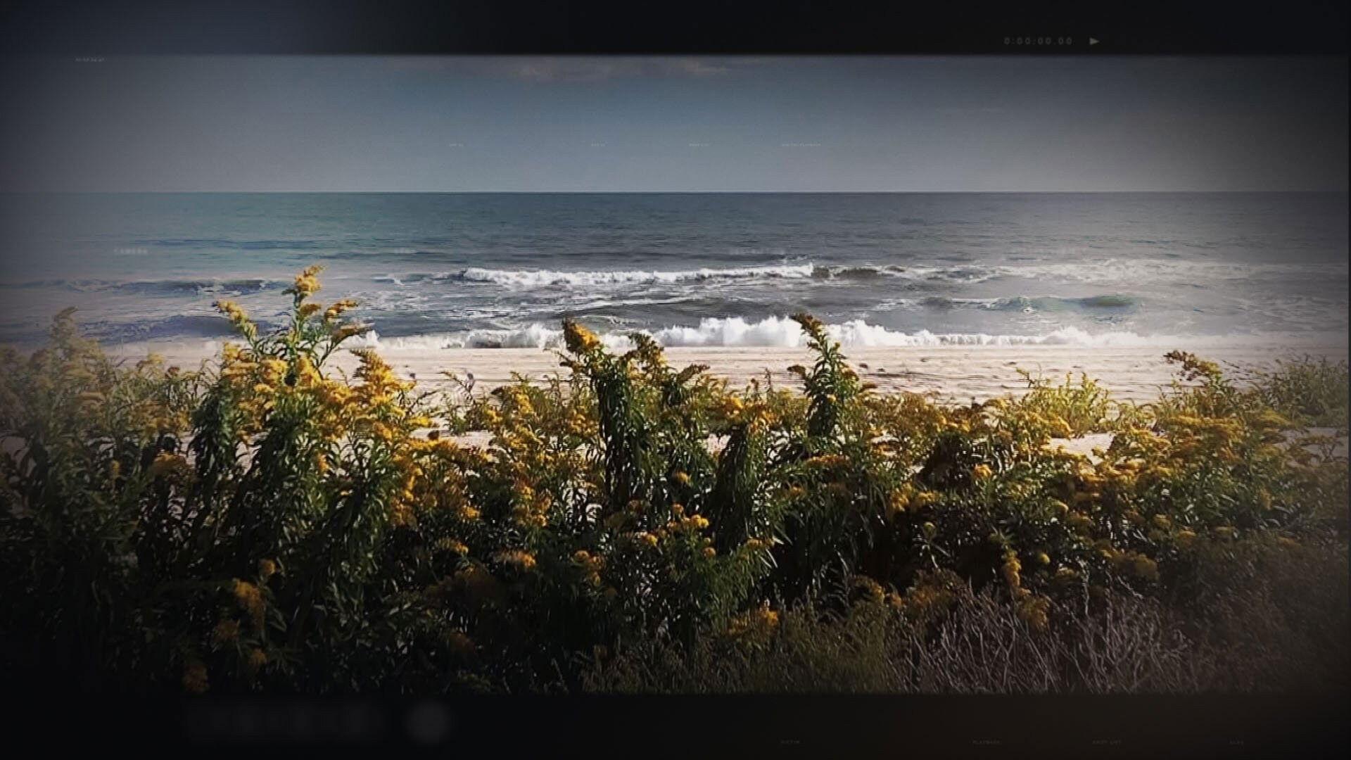 Still from The Hunt for the Gilgo Beach Killer