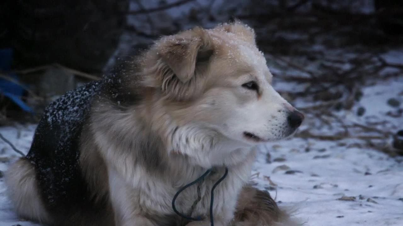 Still from The Freeze Up