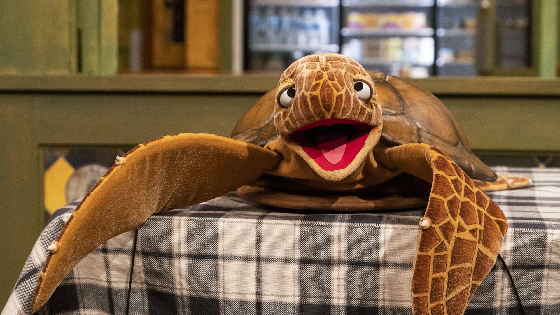 Still from Turtle Tunes