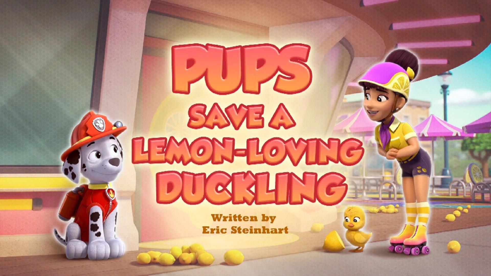 Still from Pups Save a Lemon-Loving Duckling