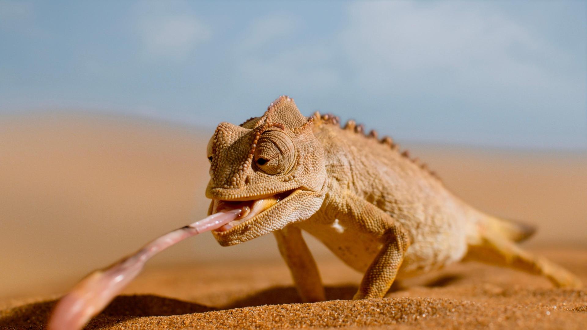 Still from Dune