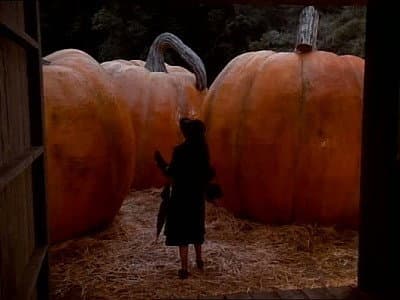 Still from The Pumpkin Competition