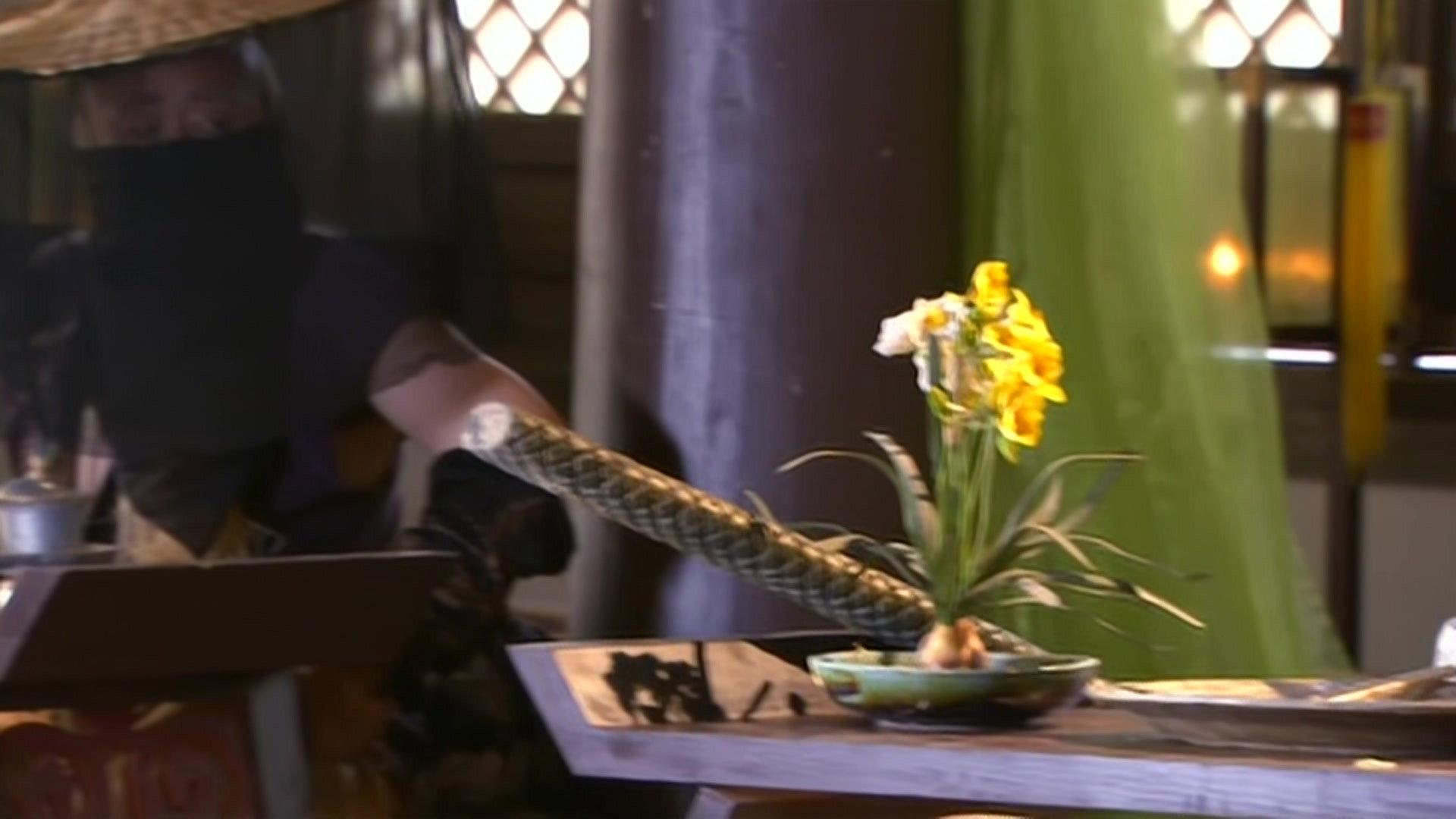 Still from Episode 17
