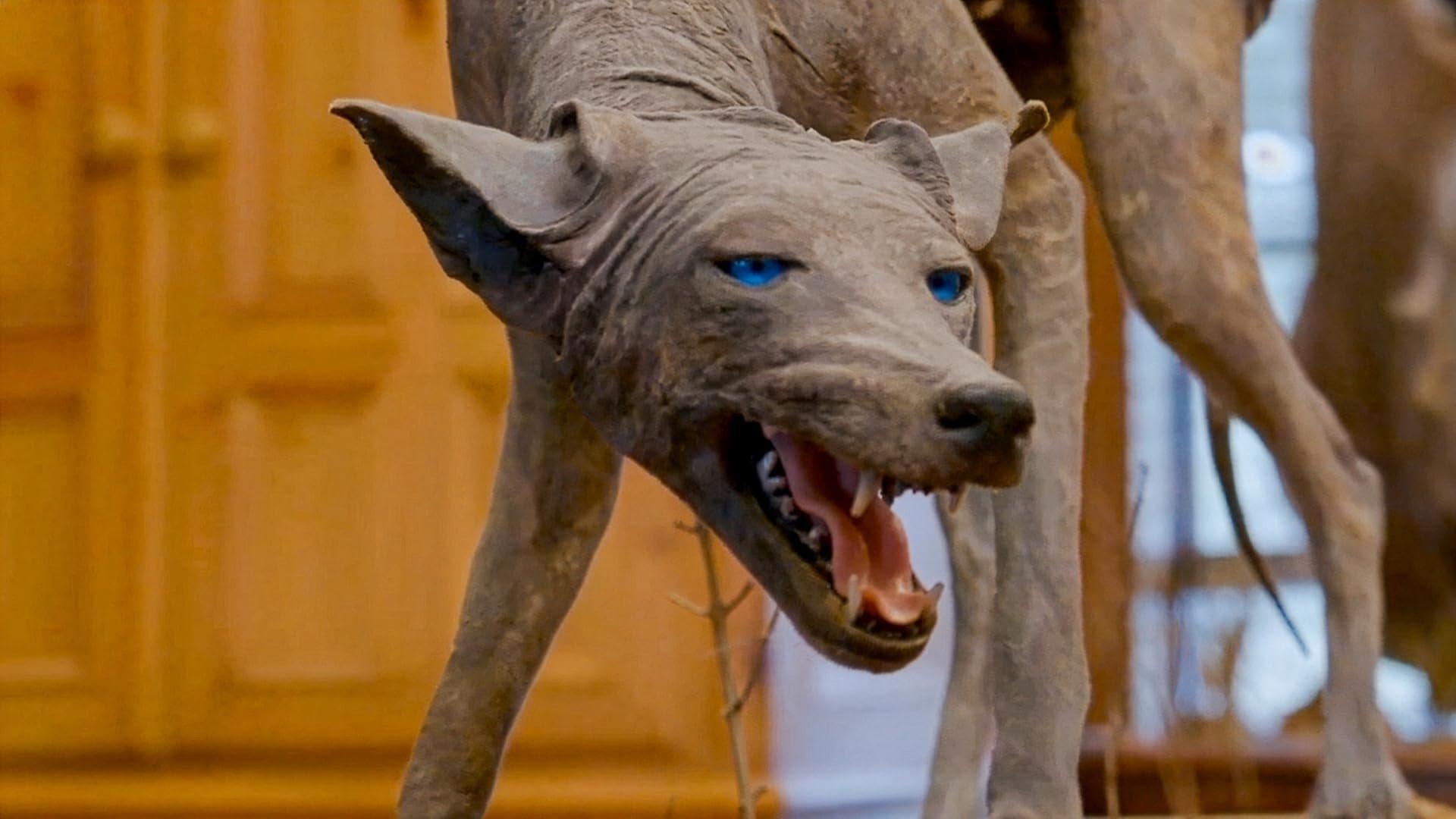 Still from Texas Chupacabra