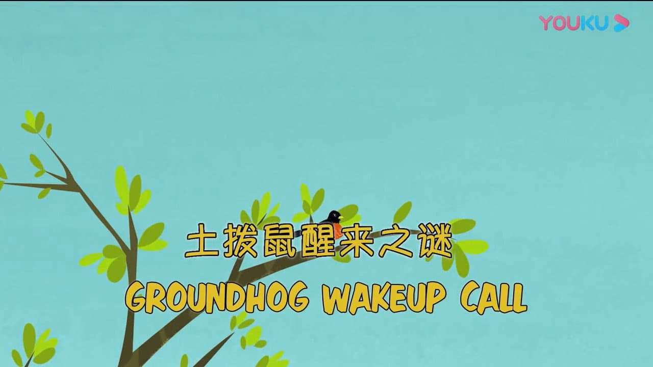 Still from Groundhog Wake Up Call