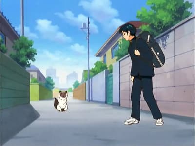 Still from Karupin's Adventure