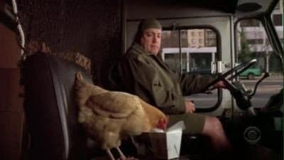 Still from Offensive Fowl