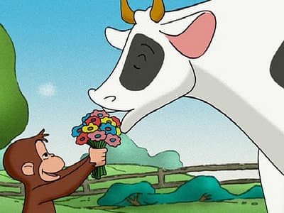 Still from Keep Out Cows