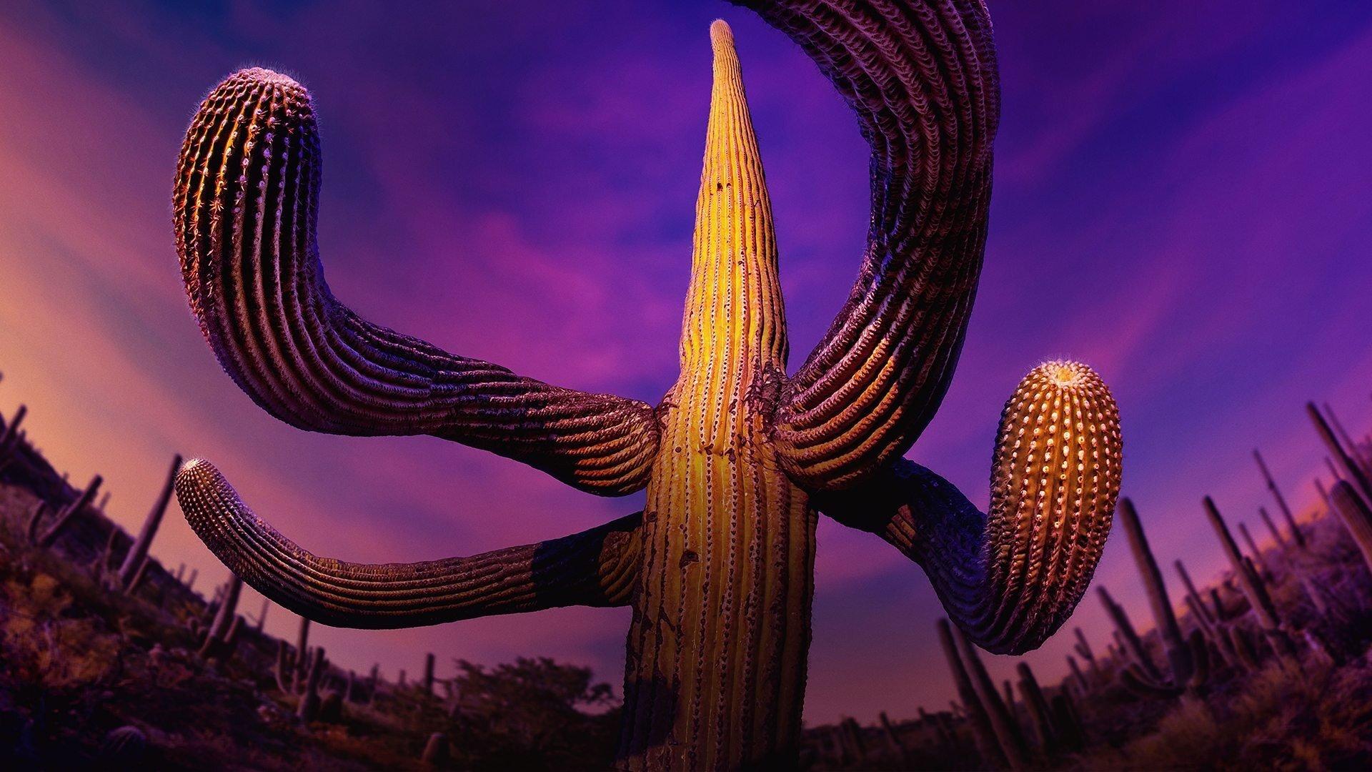 Still from Human Worlds
