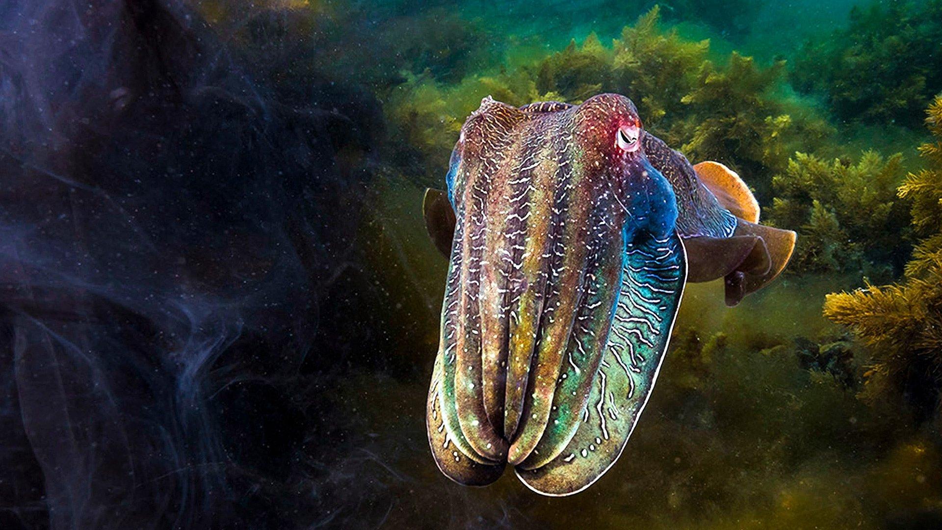 Still from Green Seas