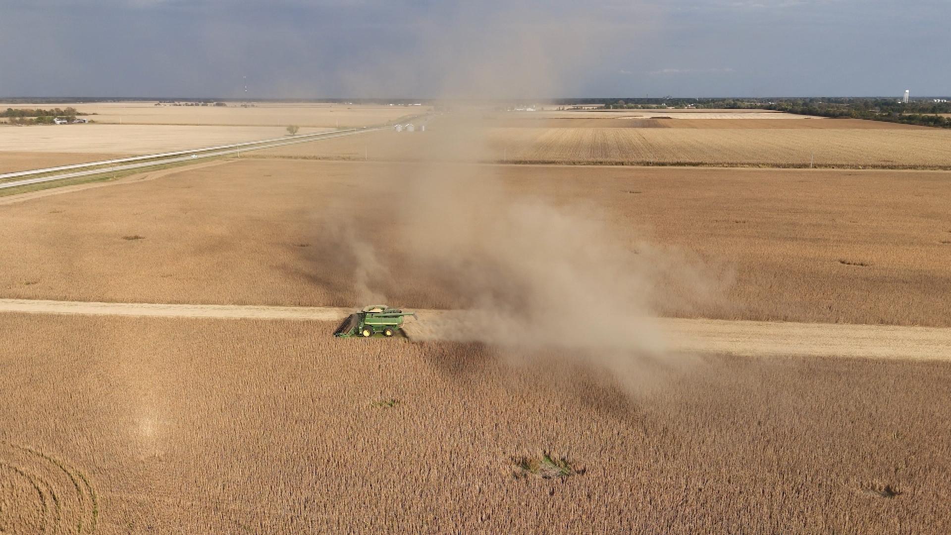 Still from The Family Farm; Collateral Damage; The Indomitable Margaret Atwood