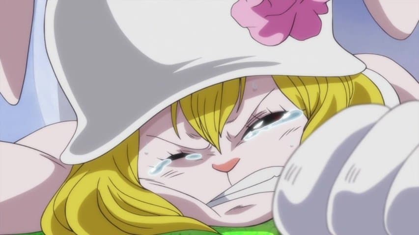 Still from I'll Be Back! Luffy, Deadly Departure