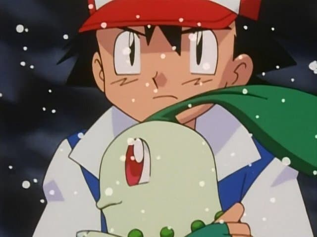 Still from The Chikorita Rescue