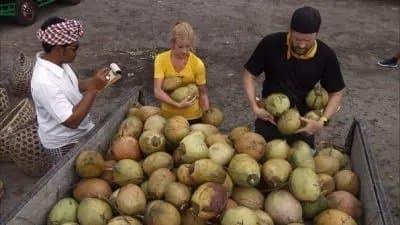 Still from Monkey Dance!