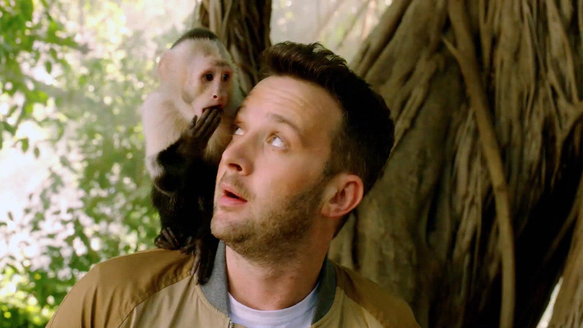 Still from Monkey See, Monkey Poo