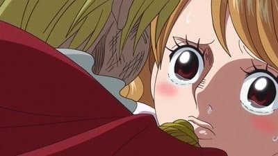 Still from The End of the Adventure! Sanji's Resolute Proposal!