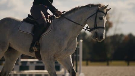 Still from Horse Hitman