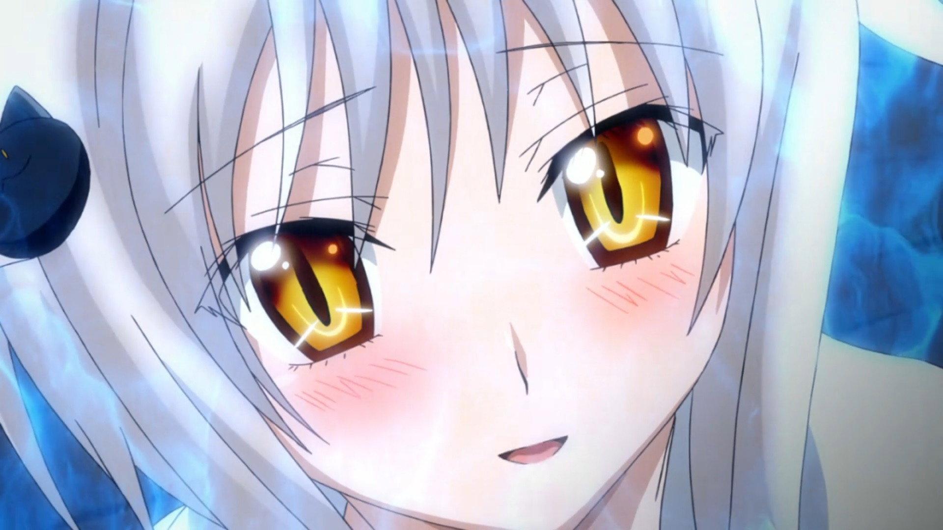 Still from Koneko's Senjutsu Treatment ~Meow