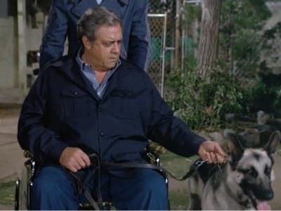 Still from The Savage Sentry