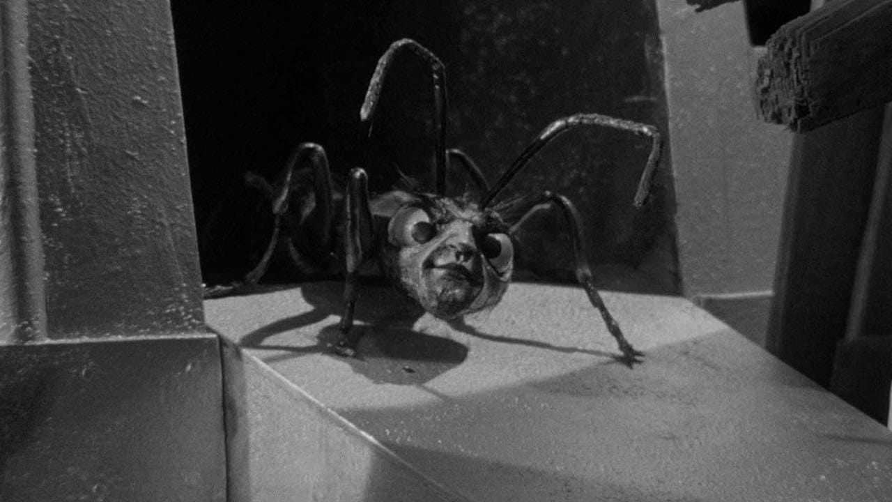 Still from The Zanti Misfits