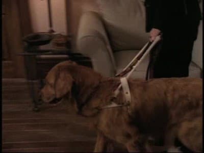 Still from Blind Faith