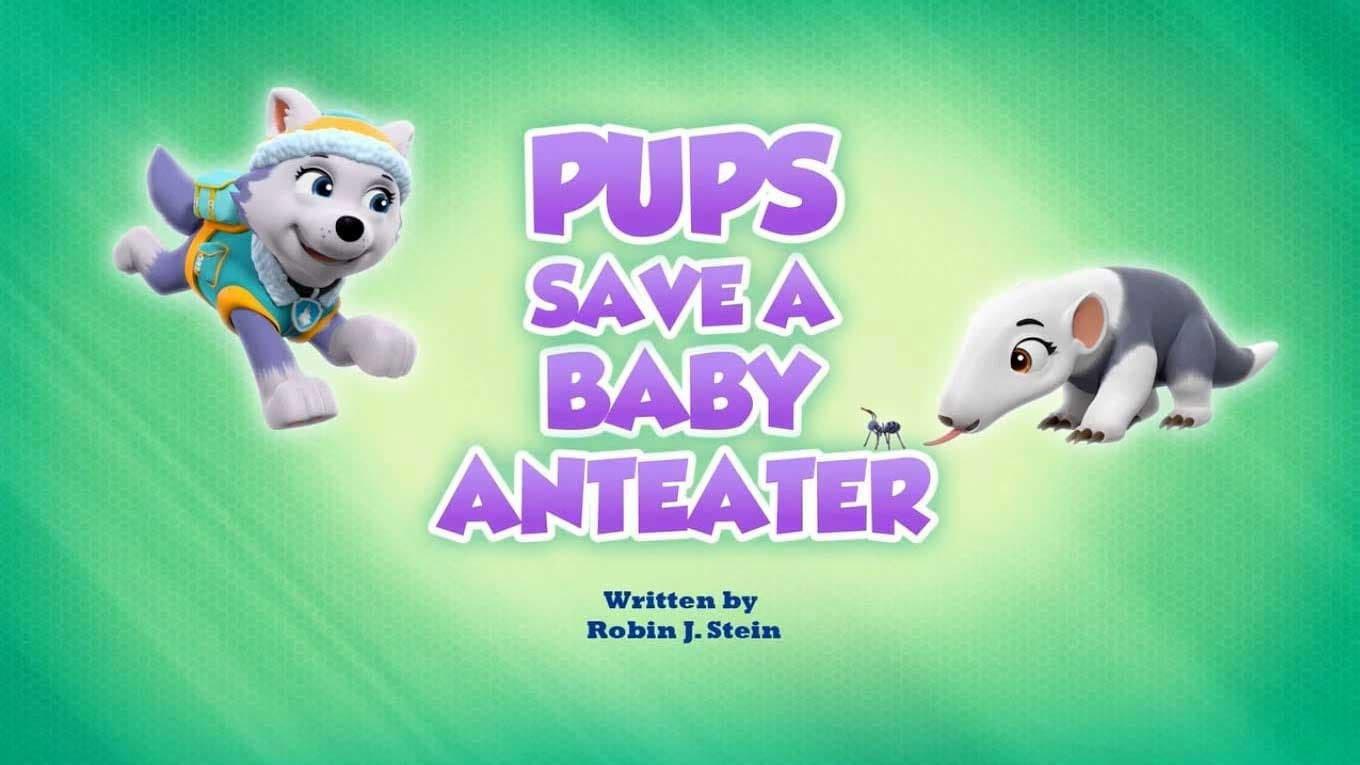 Still from Pups Save a Baby Anteater