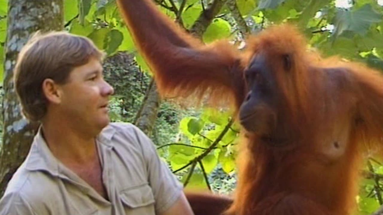 Still from A Handful of Elephants