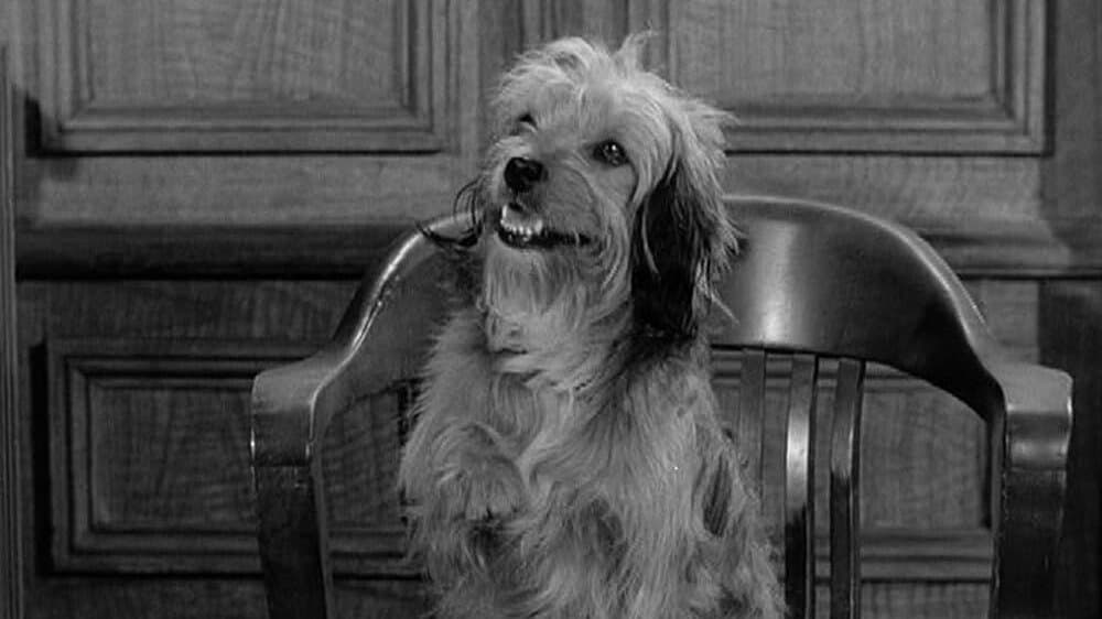 Still from The Chicken Killer