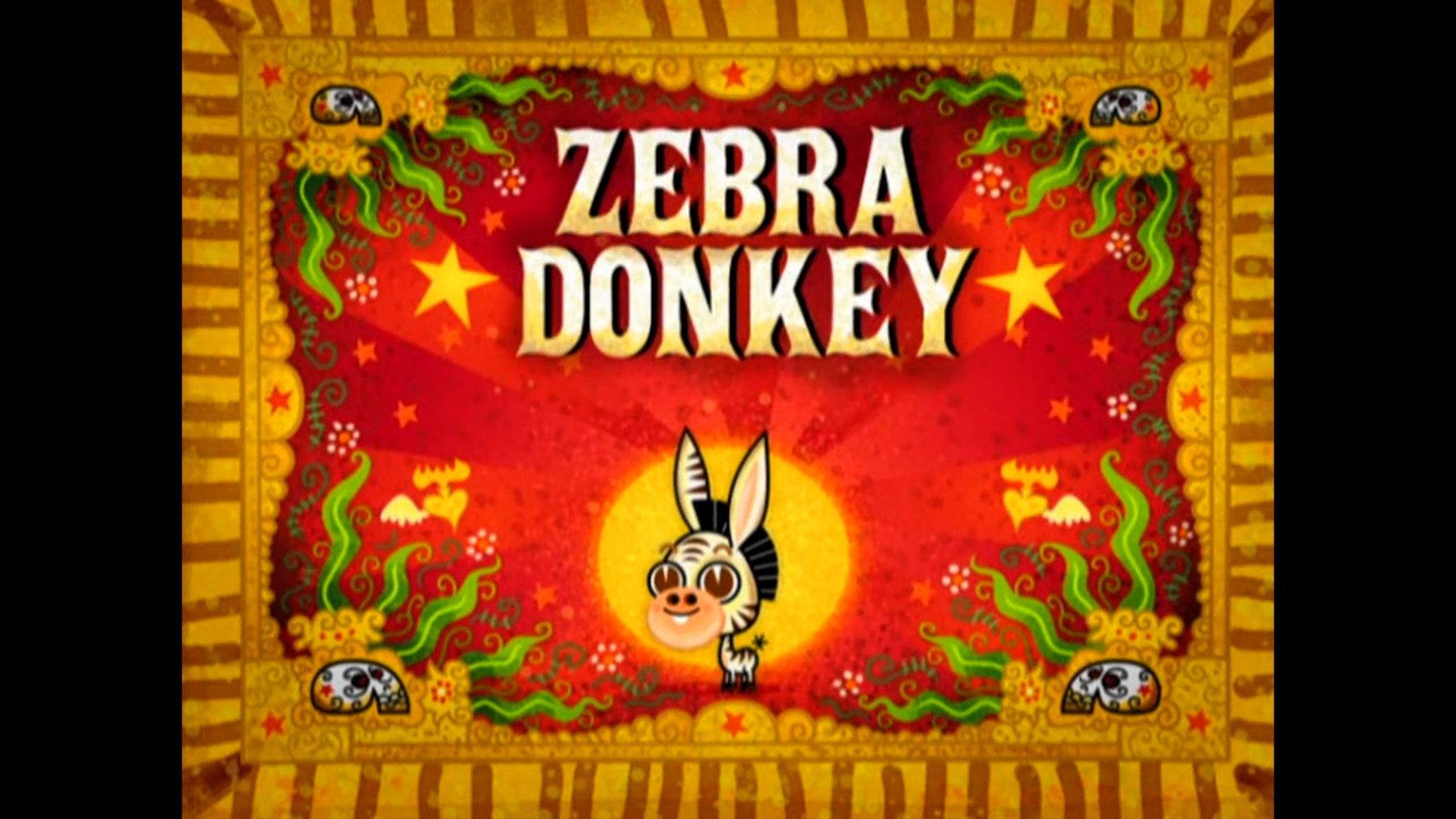 Still from Zebra Donkey
