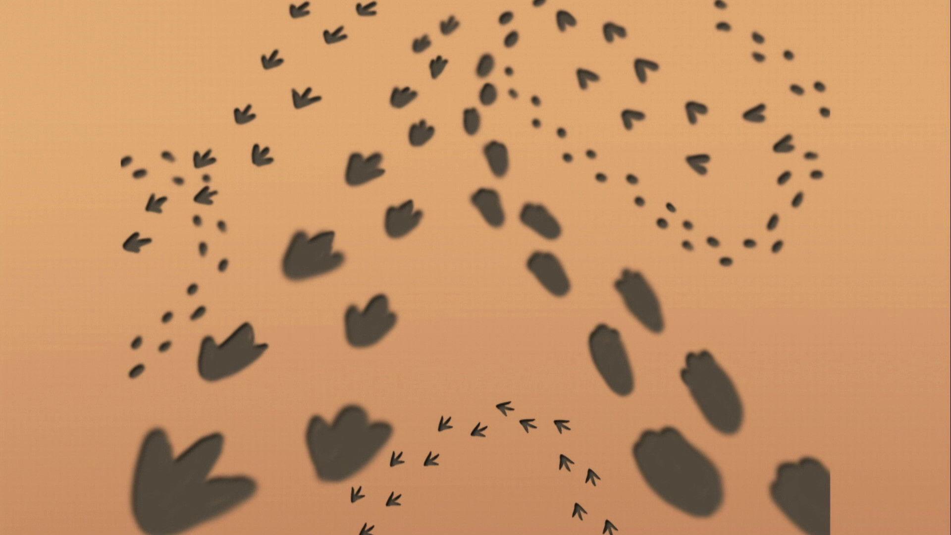 Still from Buddy the Tracker