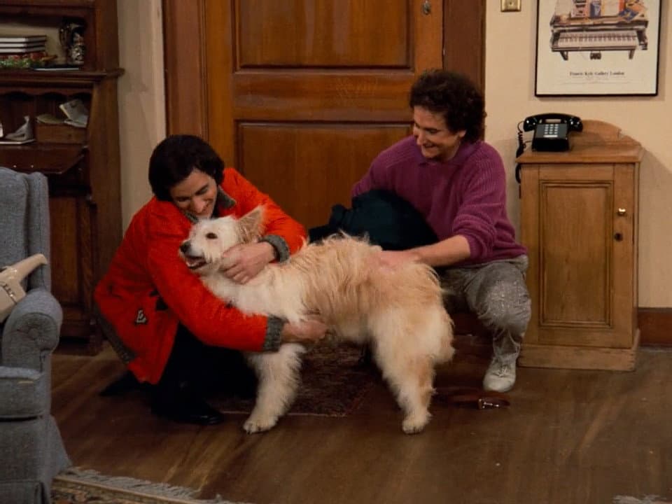 Still from Dog Gone Blues