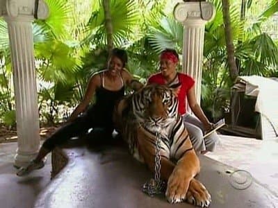 Still from Gorilla? Gorilla? Gorilla?