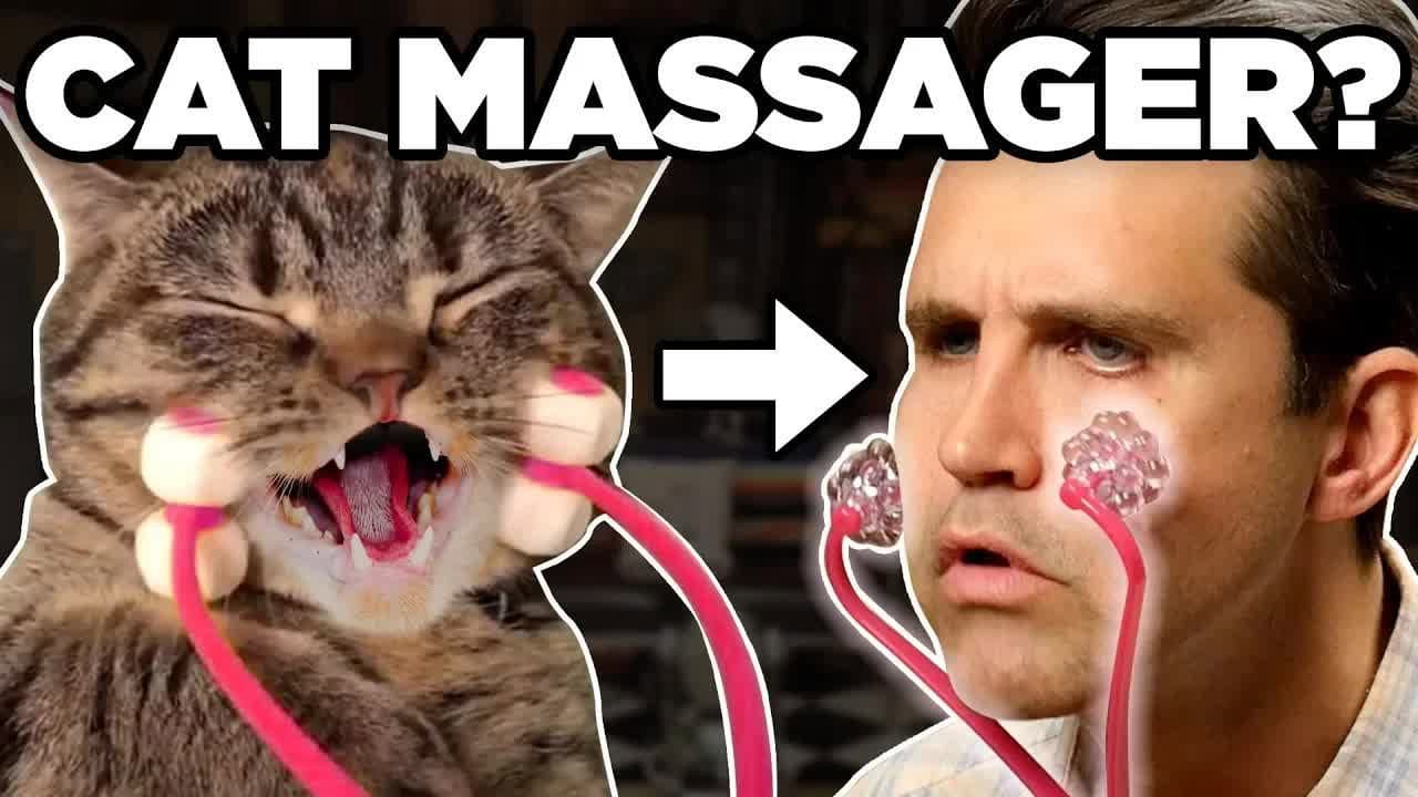 Still from Is this Grooming Product for Pets or Humans? (GAME)