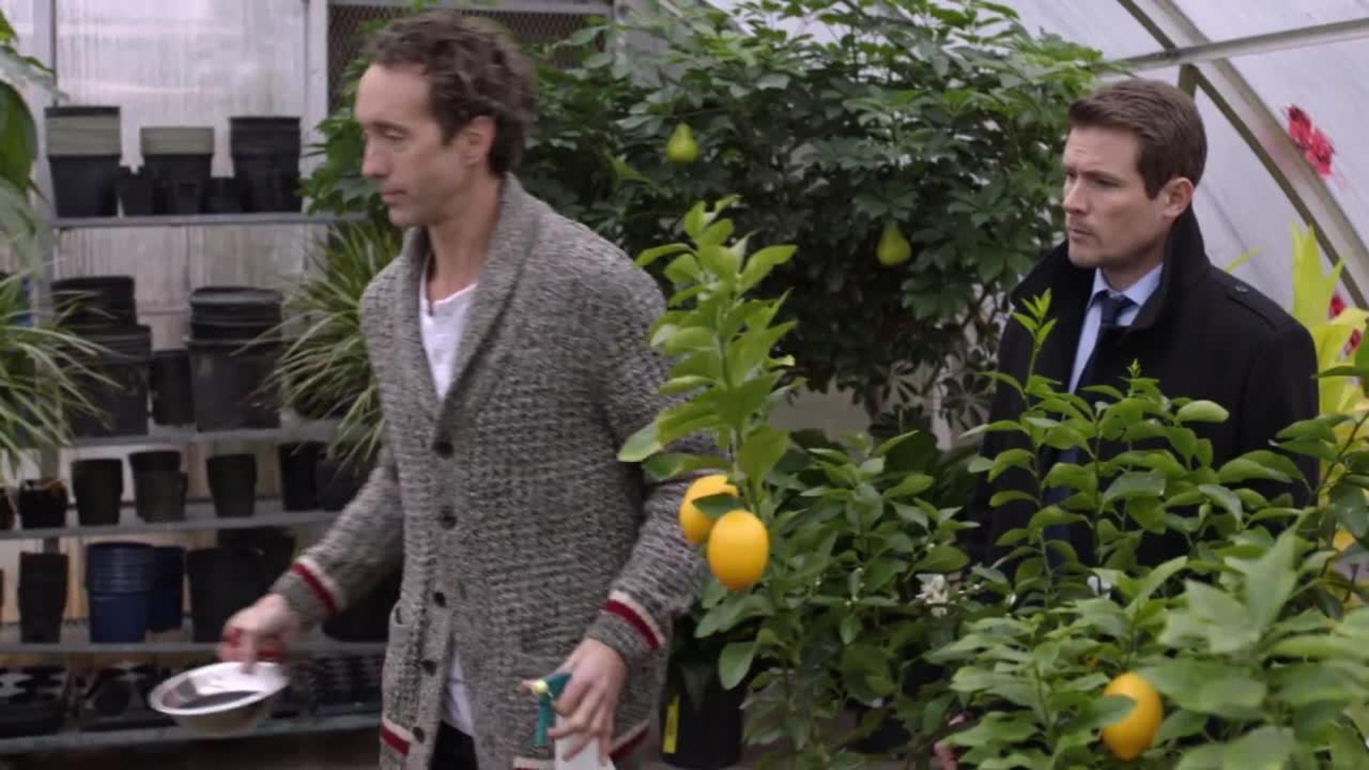 Still from Finger Foodie