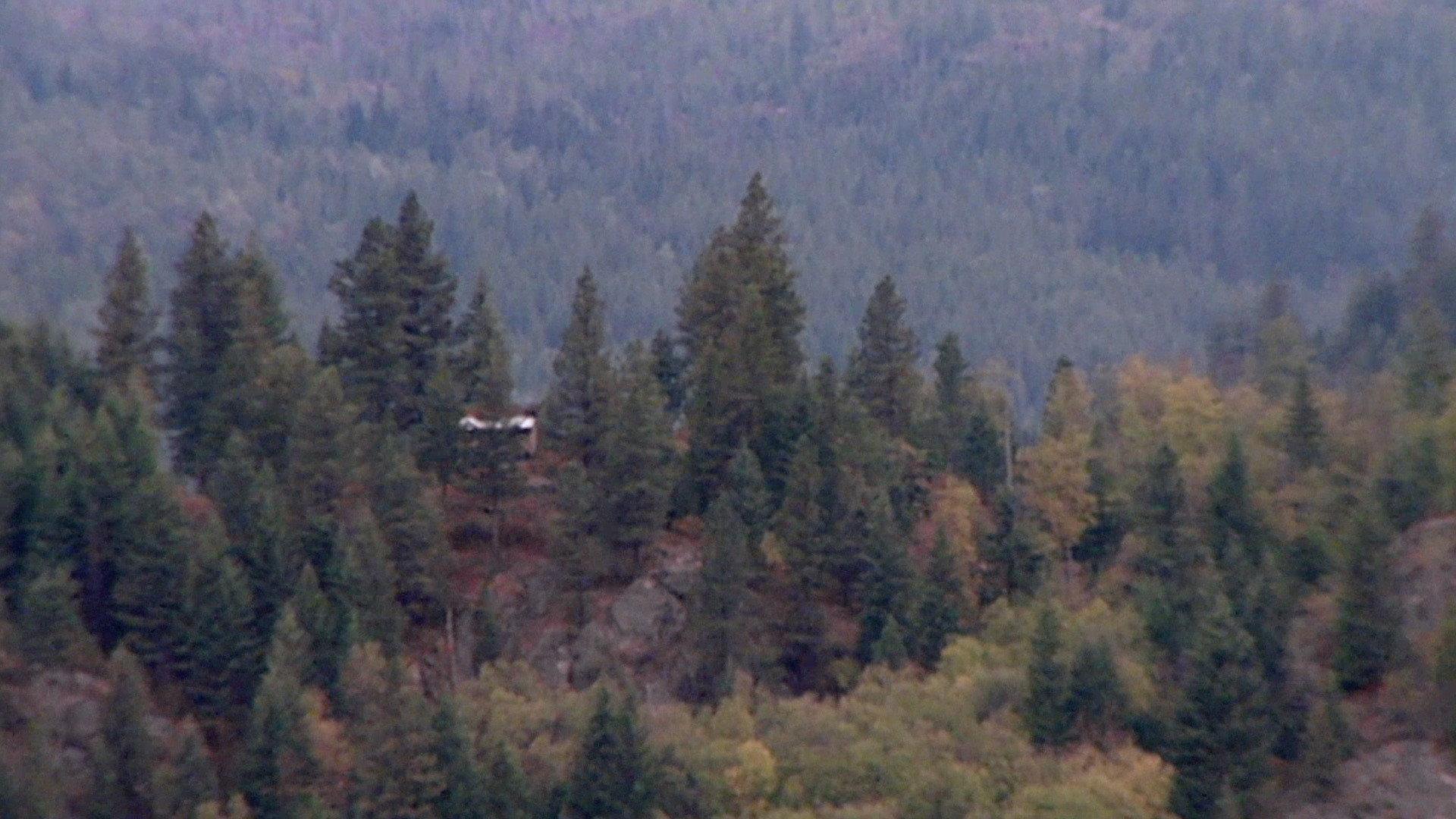 Still from Ruby Ridge