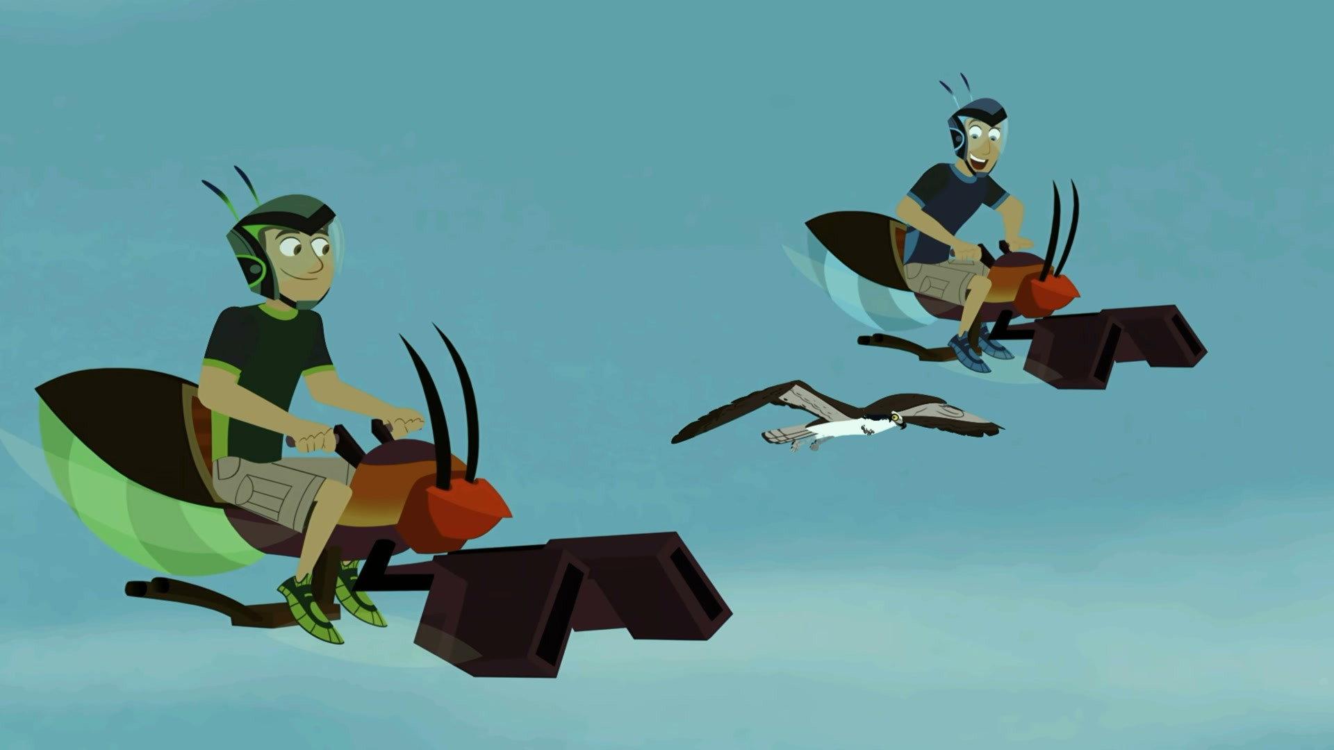 Still from Osprey