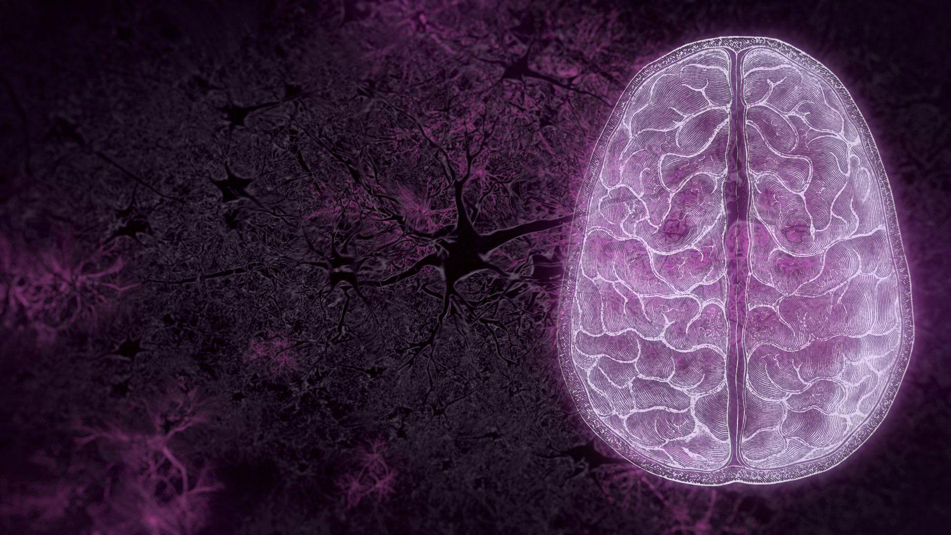 Still from Your Brain: Perception Deception (1)