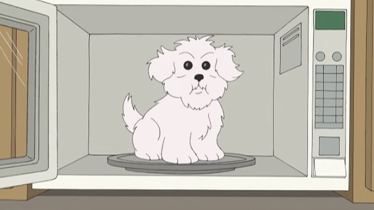 Still from What Happens if You Feed a Dog Chocolate While He Wears a Tin Foil Hat in the Microwave