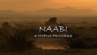 Still from Naabi - A Hyena Princess