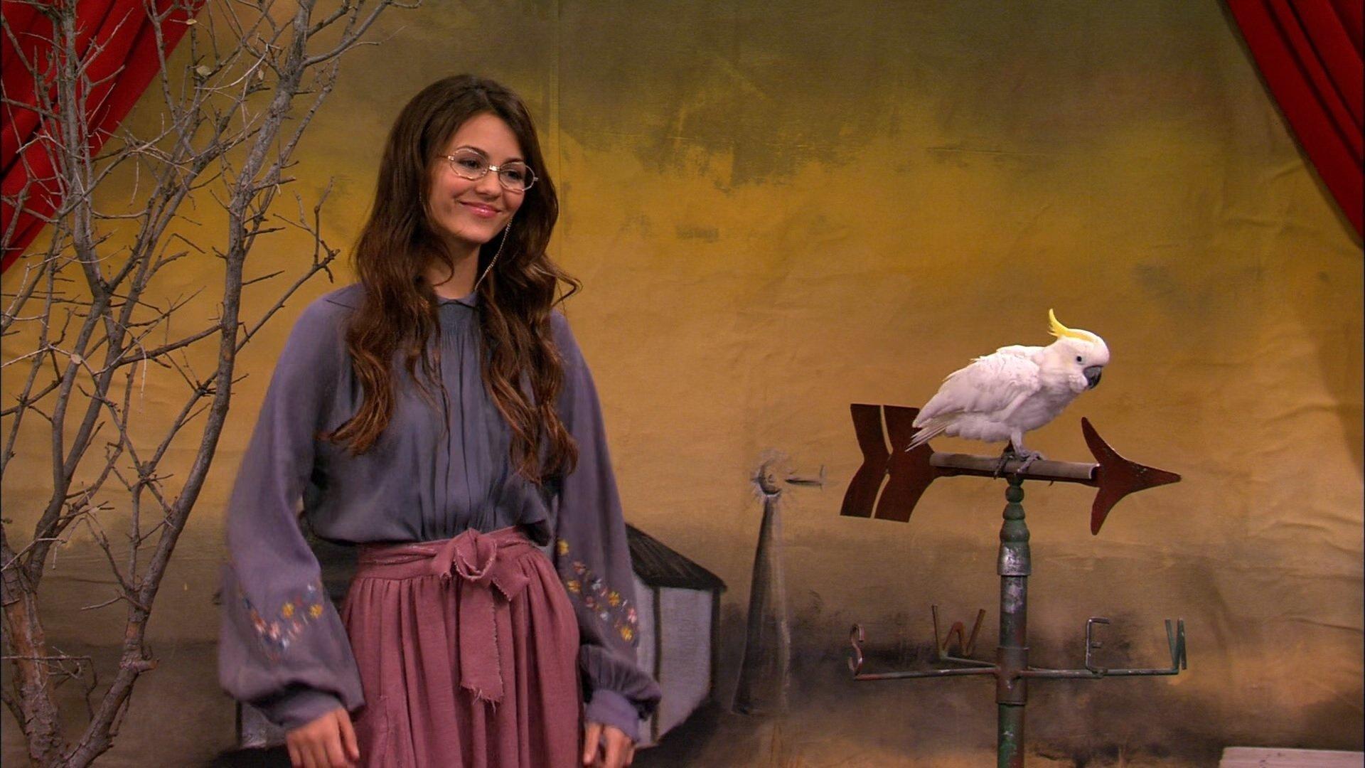 Still from The Bird Scene