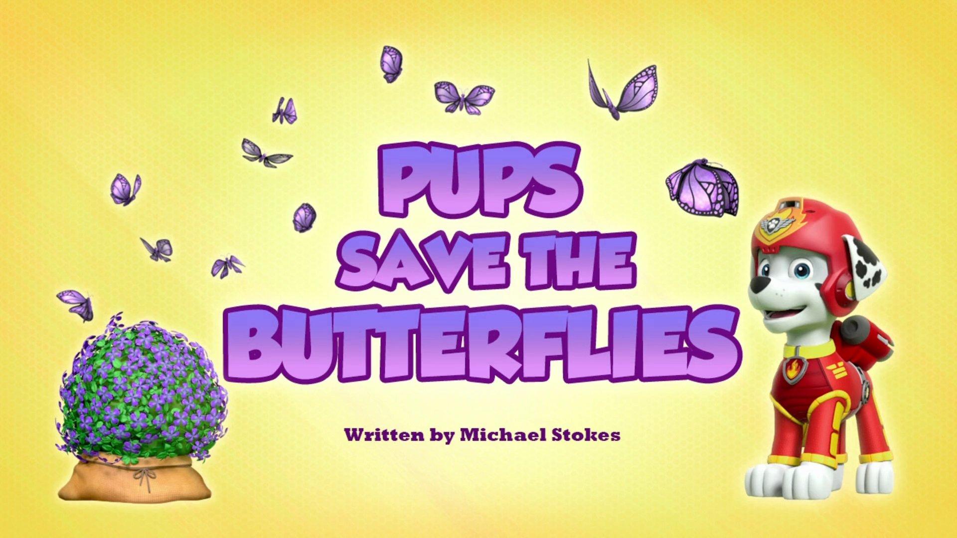Still from Pups Save the Butterflies
