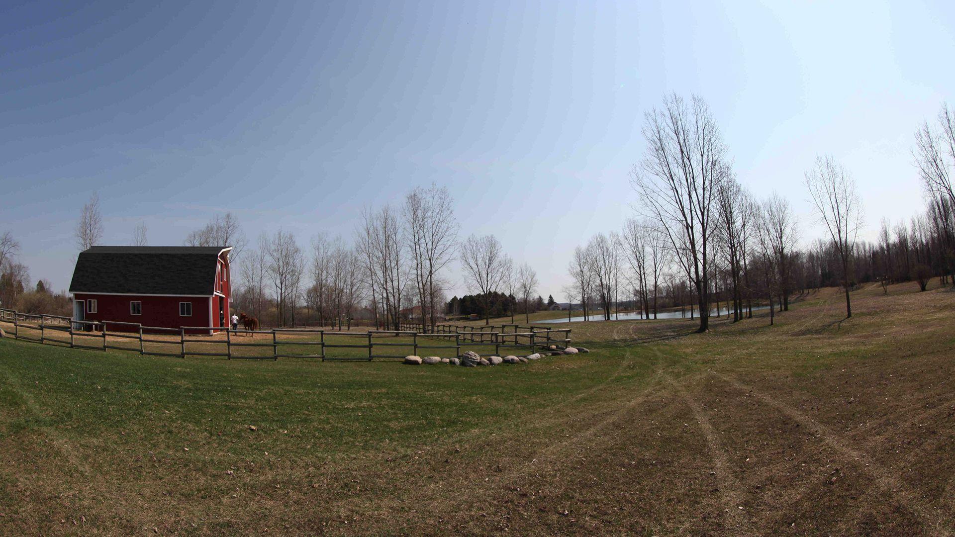 Still from Red, White & Moo