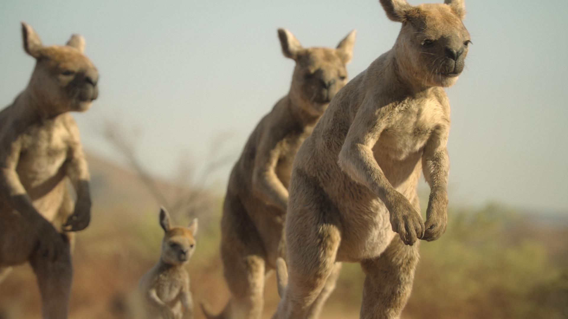 Still from Desert Lands